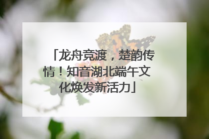 龙舟竞渡，楚韵传情！知音湖北端午文化焕发新活力