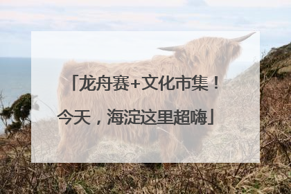 龙舟赛+文化市集！今天，海淀这里超嗨