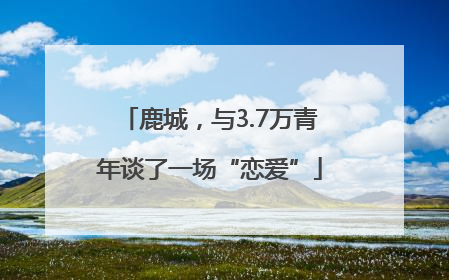 鹿城，与3.7万青年谈了一场“恋爱”