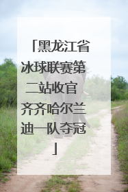 黑龙江省冰球联赛第二站收官 齐齐哈尔兰迪一队夺冠