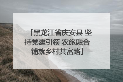 黑龙江省庆安县 坚持党建引领 农旅融合铺就乡村共富路