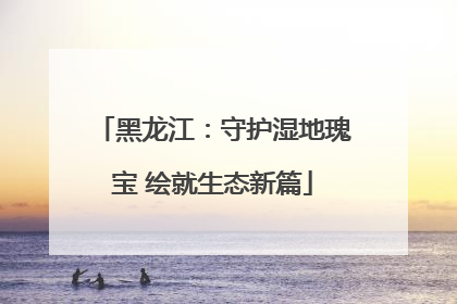 黑龙江：守护湿地瑰宝 绘就生态新篇