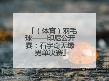 （体育）羽毛球——印尼公开赛：石宇奇无缘男单决赛