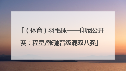 （体育）羽毛球——印尼公开赛：程星/张驰晋级混双八强