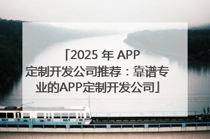 2025 年 APP 定制开发公司推荐：靠谱专业的APP定制开发公司