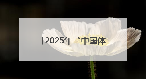 2025年“中国体育彩票杯”山东省体操锦标赛圆满收官