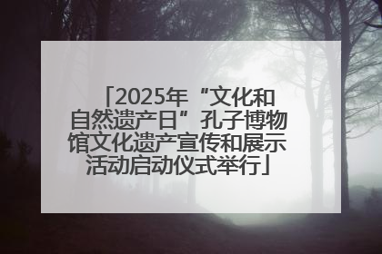 2025年“文化和自然遗产日”孔子博物馆文化遗产宣传和展示活动启动仪式举行
