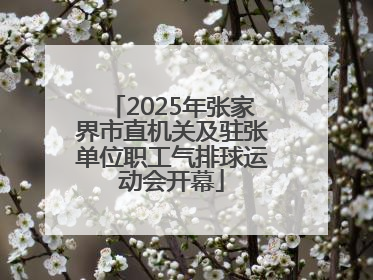 2025年张家界市直机关及驻张单位职工气排球运动会开幕