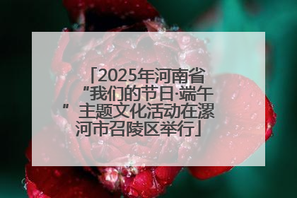2025年河南省“我们的节日·端午”主题文化活动在漯河市召陵区举行