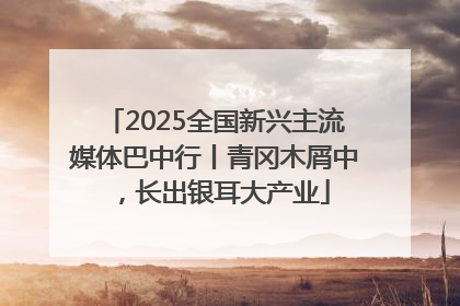 2025全国新兴主流媒体巴中行丨青冈木屑中，长出银耳大产业