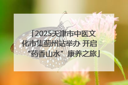 2025天津市中医文化市集蓟州站举办 开启“药香山水”康养之旅