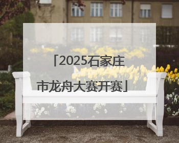 2025石家庄市龙舟大赛开赛