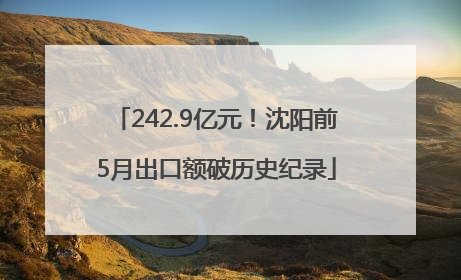 242.9亿元！沈阳前5月出口额破历史纪录
