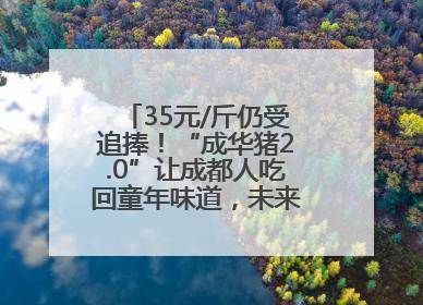 35元/斤仍受追捧！“成华猪2.0”让成都人吃回童年味道，未来或多种定价并行