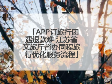 APP订旅行团遇退款难 江苏省文旅厅督办同程旅行优化服务流程