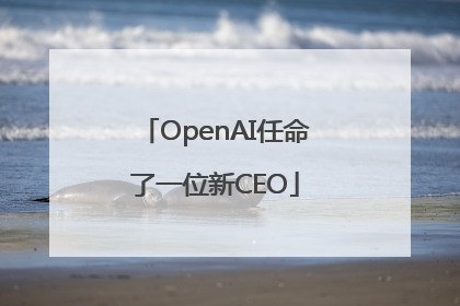 OpenAI任命了一位新CEO