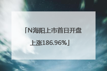 N海阳上市首日开盘上涨186.96%