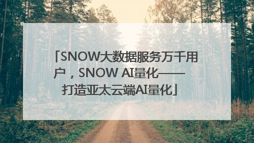 SNOW大数据服务万千用户，SNOW AI量化——打造亚太云端AI量化